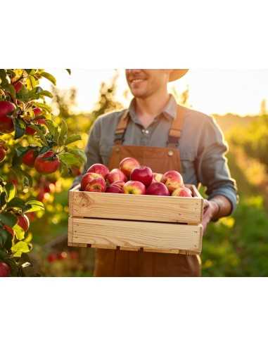 Fichier emails Arboriculture et producteurs de fruits