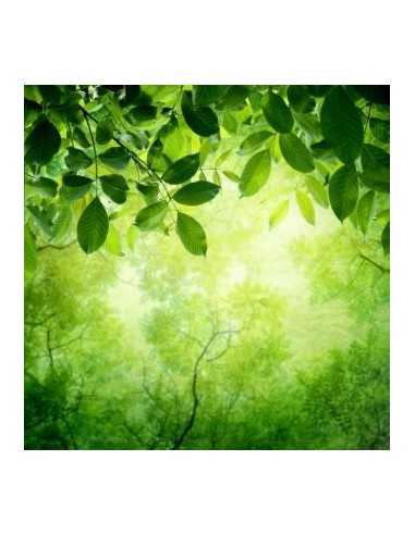 Base emails médecines douce parallèle alternative chinoise pour prospection BtoB.